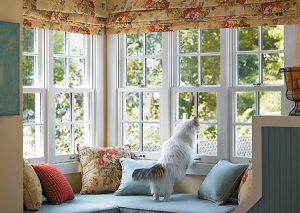Energy efficient windows